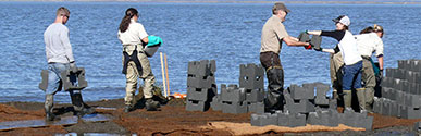 Nj coastal resilience