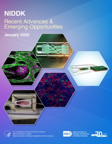 Cover image for NIDDK Recent Advances & Emerging Opportunities report for January 2020