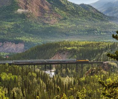 A train cuts through a heavy wood.