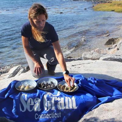 Tessa Getchis knees on a large rock along the shoreline with three bowls of local shellfish and the Connecticut Sea Grant banner in front of her.