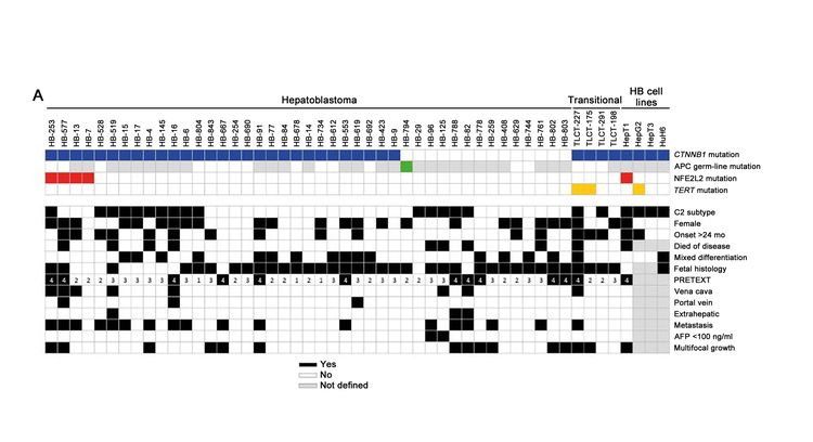 Chart showing the distribution of CTNNB1, APC, NFE2L2, and TERT mutations for hepatoblastoma.