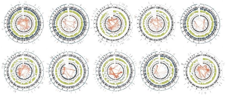 Diagrams of osteosarcoma cases from the NCI TARGET project.