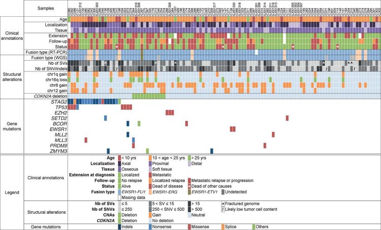 Chart showing a comprehensive profile of the genetic abnormalities in Ewing sarcoma and associated clinical information.