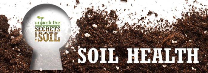 Soil Health Banner image