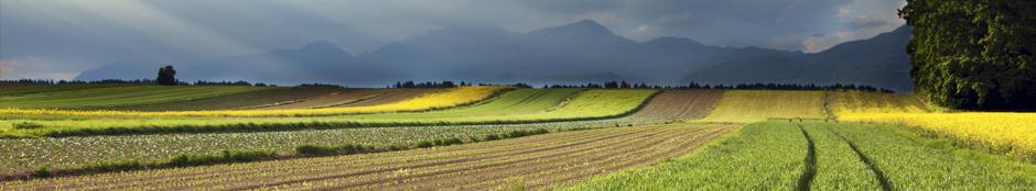 Picture of a field with mountains in the distance. 