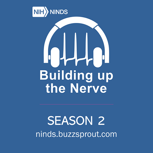 Building up the Nerve Season 2 podcast flyer