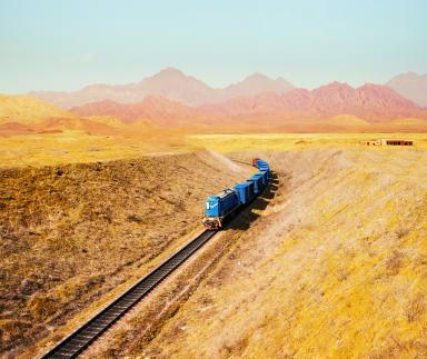 A blue train in a yellow field.