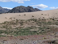 Threecorner Milkvetch Habitat