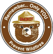 Remember ... Only You Prevent Wildfires