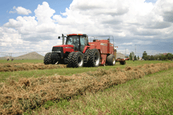 Arizona Farmland in Cochise County