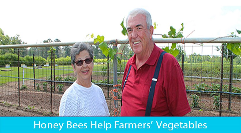 Honeybee farmers