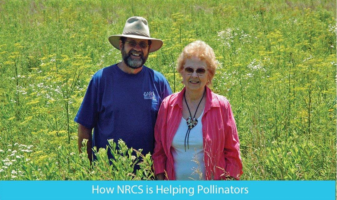 How NRCS is helping pollinators