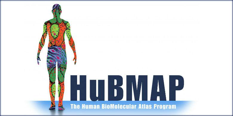 Graphic Identity for the Human BioMolecular Atlas Program