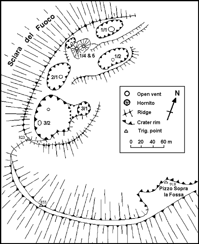 Figure (see Caption)