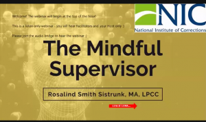 The Mindful Supervisor Image