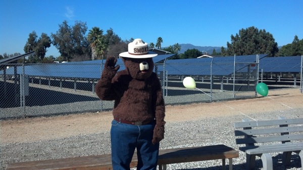 Smokey the Bear in front of a section of solar panels and waiving his right arm.