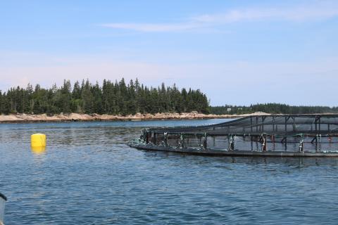 Picture of an aquaculture net-pen in the ocean.