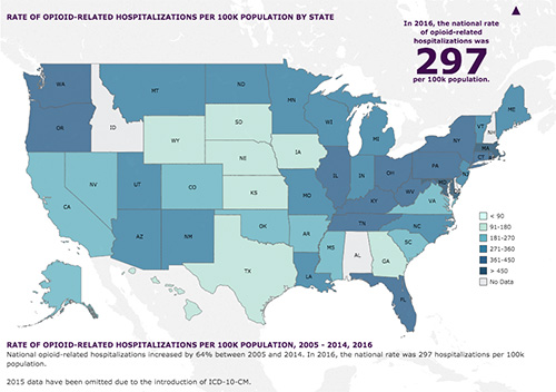Thumbnail of the Trends in the Rate of Opioid-Related Hospitalizations Visualization