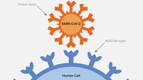 Science Node: Blocking COVID-19 infection with AI