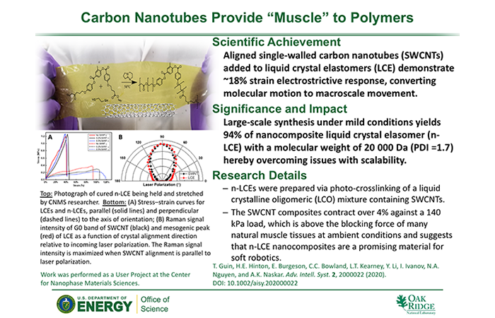 Carbon Nanotubes Provide "Muscle" to Polymers