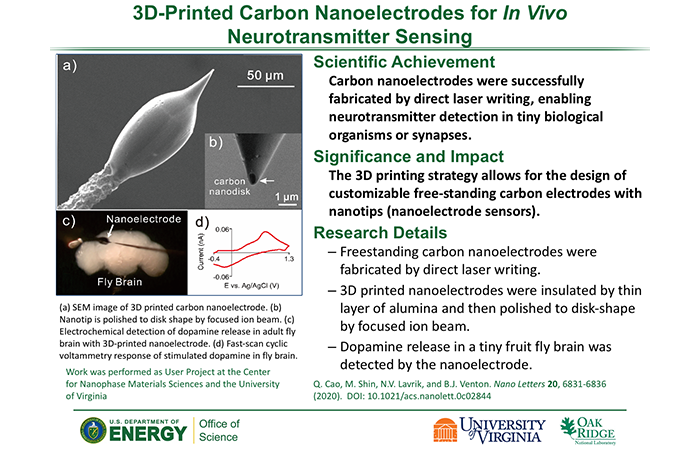 3D-Printed Carbon Nanoelectrodes for In Vivo Neurotransmitter Sensing