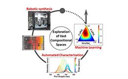 Chemical Robotics for Discovery of Metal Halide Perovskites