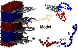 Ionic Junctions Enable Delicate Control over Microphase Domain Features in Diblock Copolymers