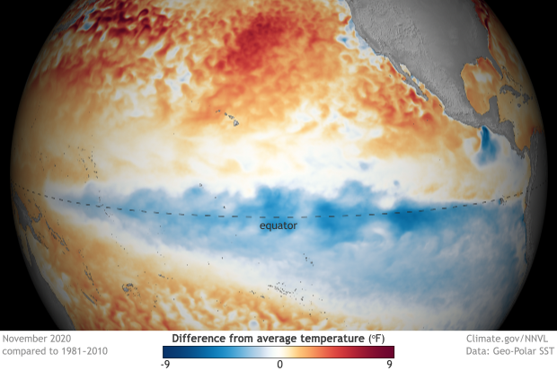 spherical map of the Pacific centered on the equator showing sea surface temperature anomalies in November 2020