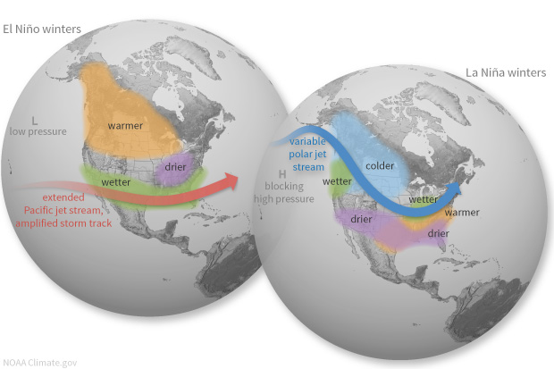 Globes showing typical climate impacts over the U.S. during El Niño and La Niñaca