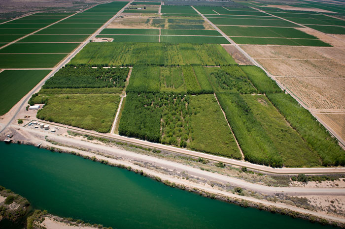 Cibola Valley Conservation Area Aerial View - Photo by Reclamation