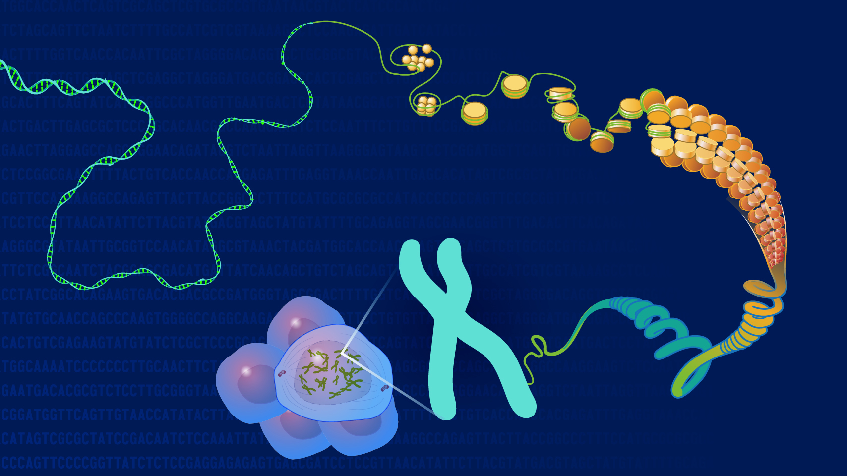 Guide to Genomics