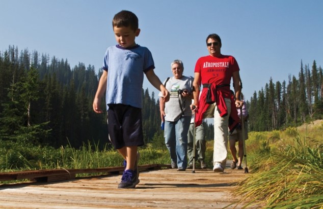 Hikers along a broad path