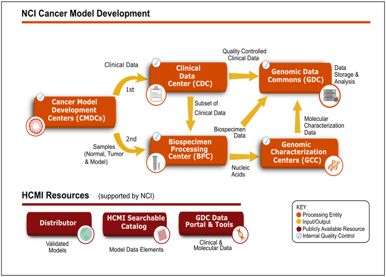NCI Cancer Model Development Flowchart