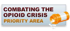 Combatting the Opioid Crisis: Priority Area