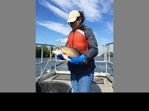 A woman on a boat holds a fish for the camera.