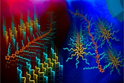 A surfactant template guides the self-assembly of functional polymer structures in an aqueous solution. Image credit: Oak Ridge National Laboratory, U.S. Dept. of Energy; image by Youngkyu Han and Renee Manning. 