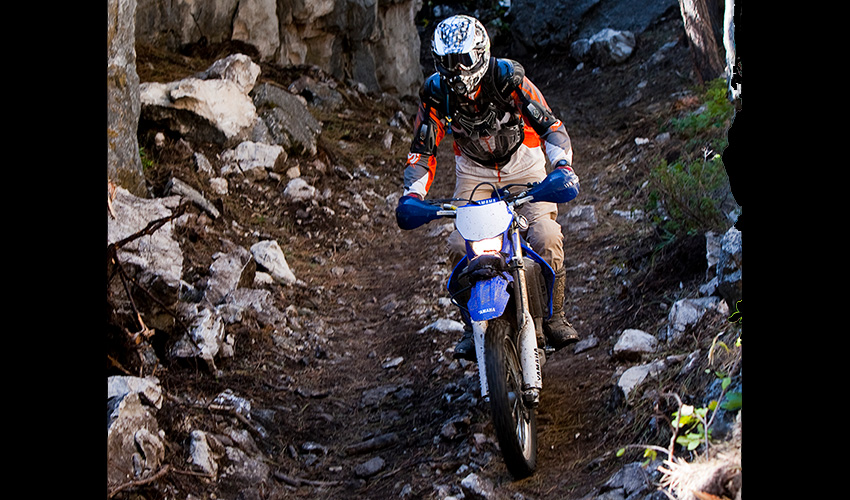 Motorcyclist on a forest trail