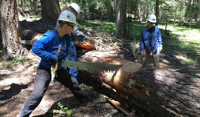 Trail crew members cutting a down log across a trail with a crosscut saw.