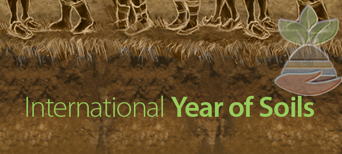 International Year of Soils