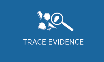 Trace forensic icon