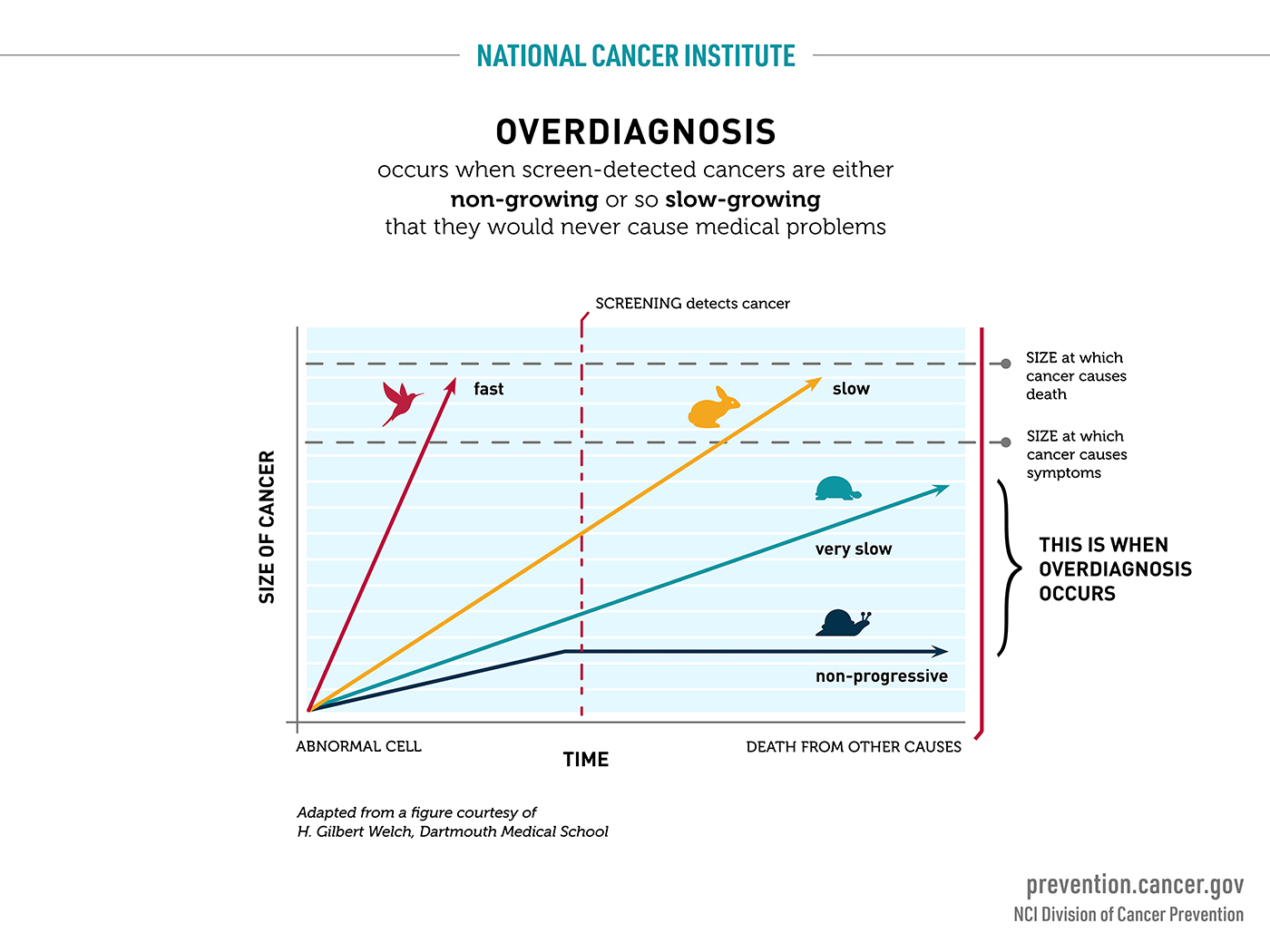 Overdiagnosis occurs when screen-detected cancers are either non-growing or so slow-growing that they would never cause medical problems.