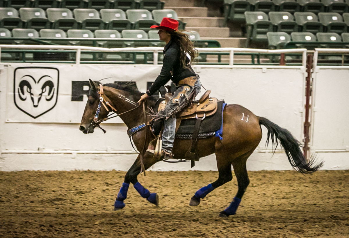 Rider on a horse