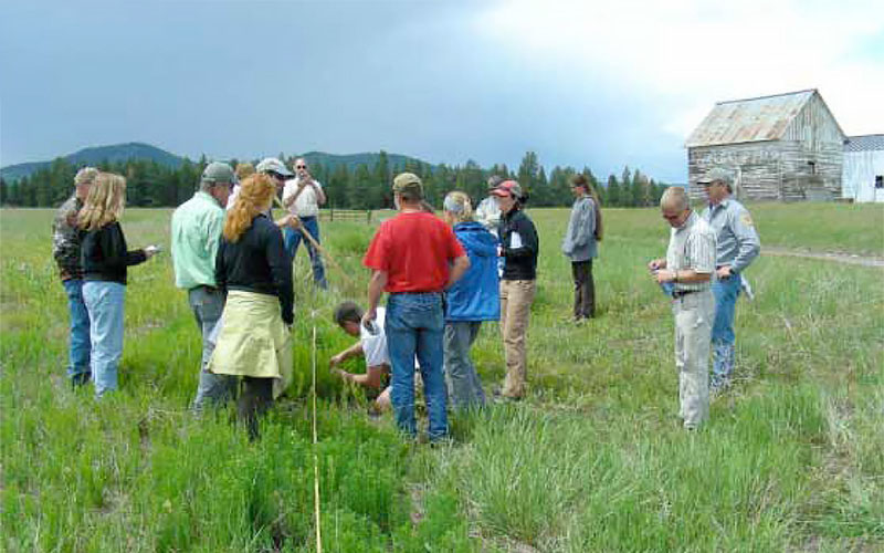Blackfoot Challenge members and Forest Service scientists and managers