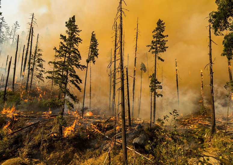 The Jones Fire burns in Oregon in 2017.