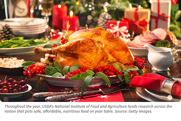 The Science Behind Your Traditional Holiday Meal.  Image of holiday turkey dinner; courtesy of Getty images.