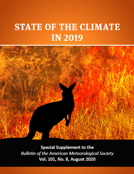 Cover of the 2019 BAMS Report