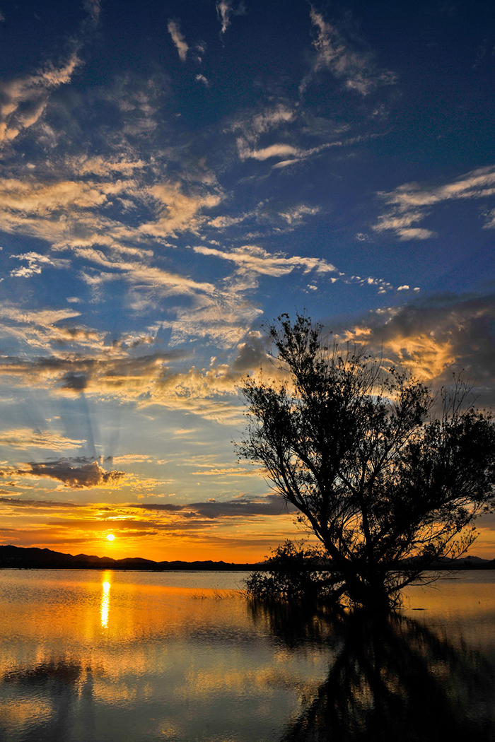 Laguna Division Conservation Area - Photo by Reclamation