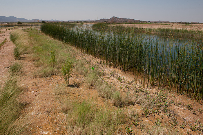 Laguna Division Conservation Area - Photo by Reclamation