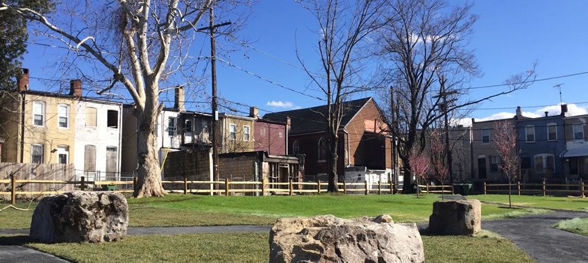 A restored area on McKean Avenue of the Baltimore Wood Project.