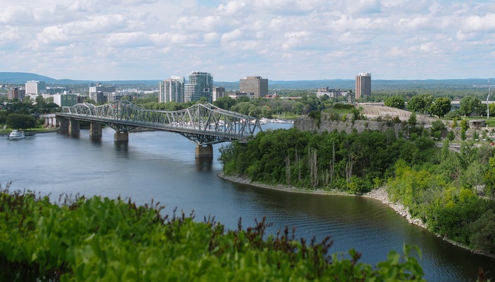 A photo of a bridge with trees surrounding an urban city area